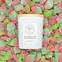 Strawberry Watermelon Candle