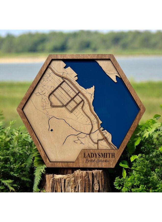 Ladysmith City Map