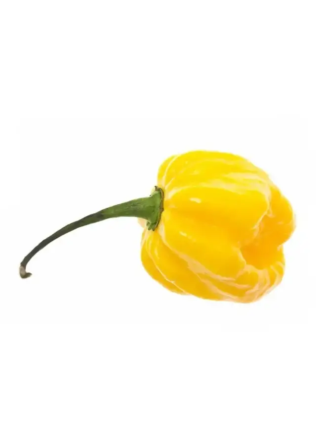 Scotch Bonnet Pepper Hot & Spicy Salt