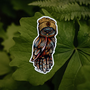 Cozy little Owl Sticker