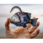 Colourful Angler Fish "Never Stop Seeking The light"