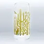 North American Desert Beer Glass