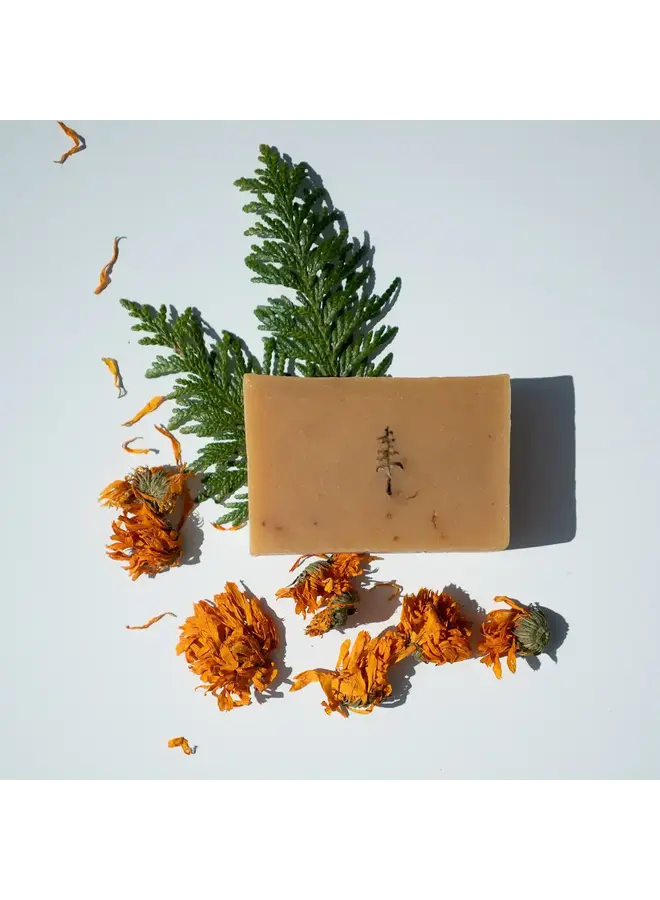 Cedar Saffron Soap