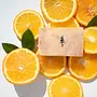 Satsuma Soap