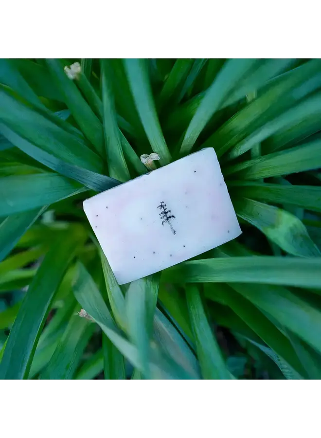 White Tea & Ginger Soap