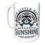 Sarcastic Sunshine 15oz Mug