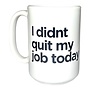 I Didn't Quit My Job 15oz Mug