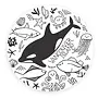 Vancouver Island Sea Animals Magnet