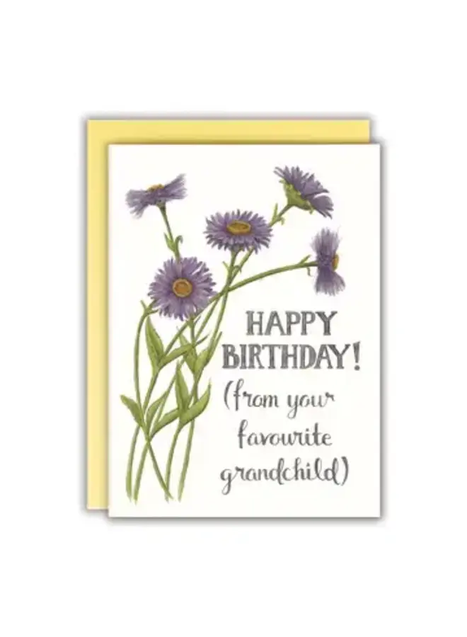 Happy Birthday (from Your Favourite Grandchild) Card