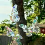 Butterfly Suncatcher Set of 3