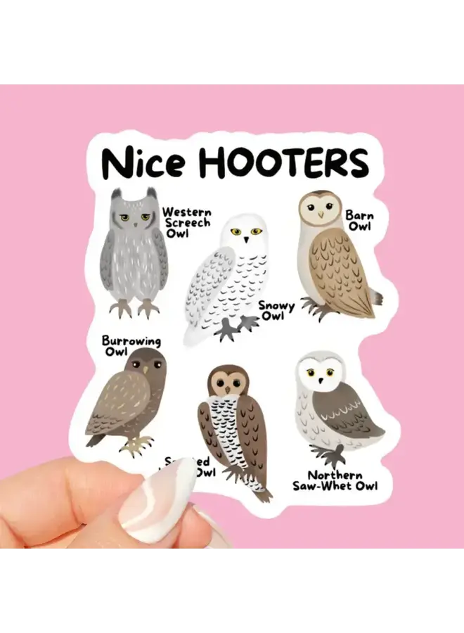 Nice Hooters Owl Sticker