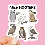 Nice Hooters Owl Sticker