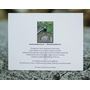Forest Humpback Art Note Card