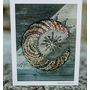 Crescent Moon Art Note Card