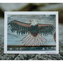 Eagle Art Note Card