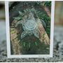 Turtle Art Note Card