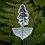 Tree Mycelium Sticker