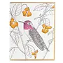 Anna's Hummingbird Card