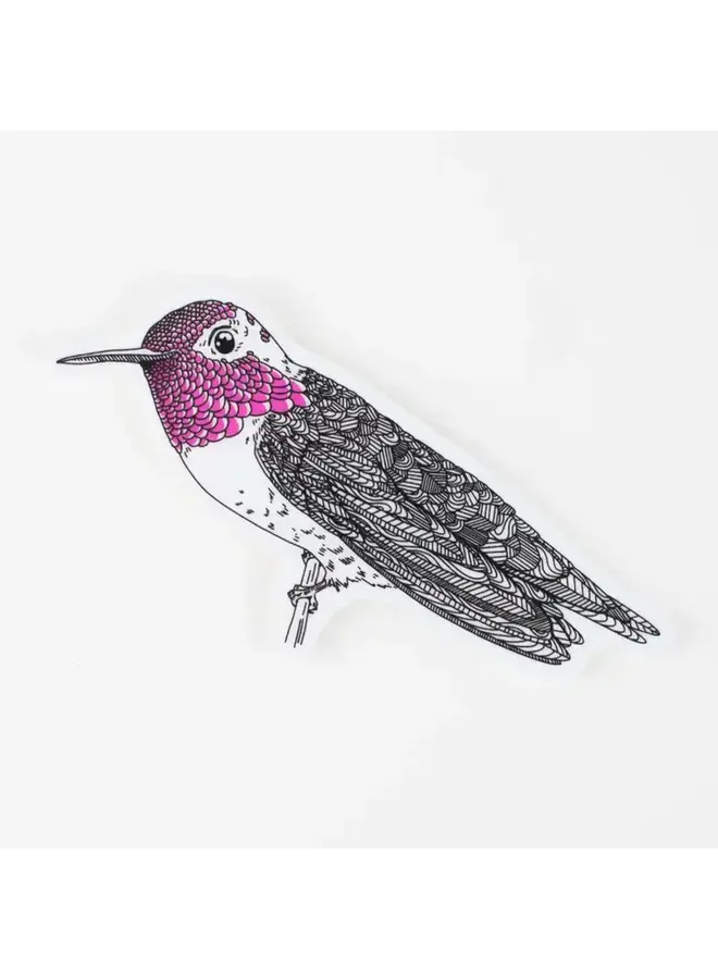 Anna's Hummingbird Sticker