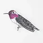 Anna's Hummingbird Sticker