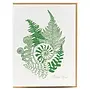 Fern Thank You Card