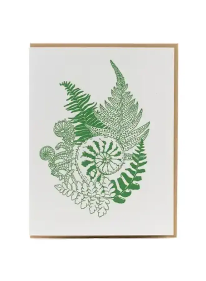 Forest Foraging Fern Card