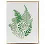 Forest Foraging Fern Card