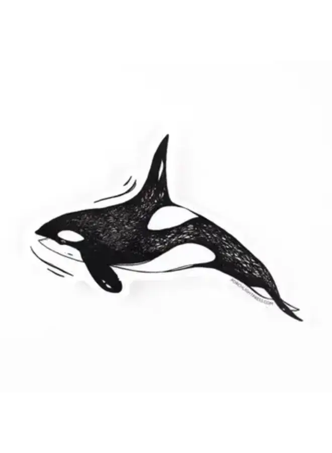 Orca Sticker