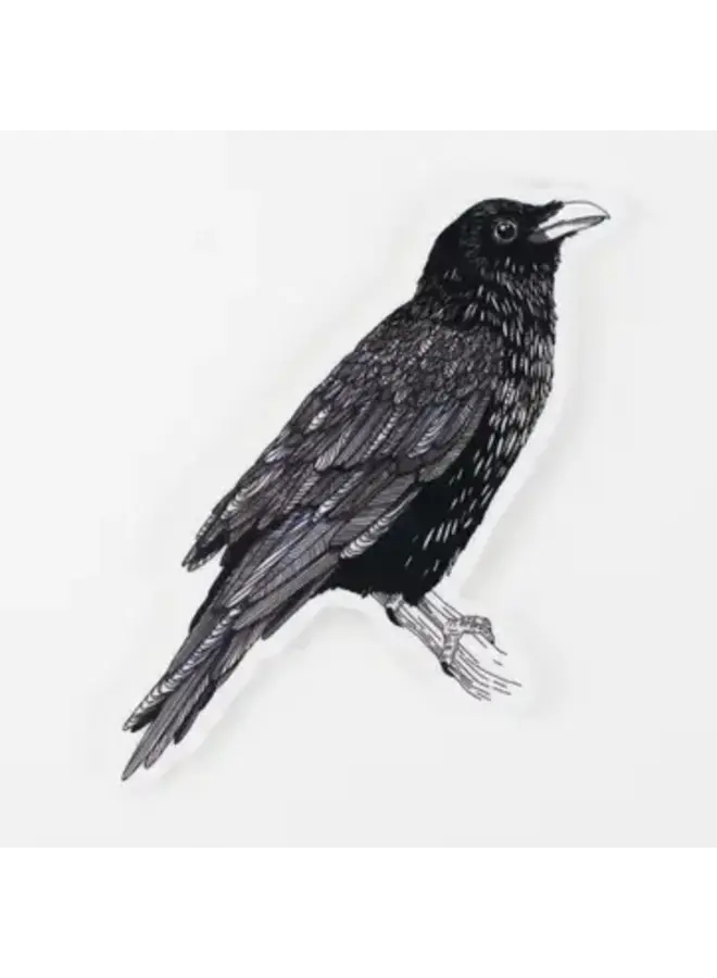 Raven Sticker