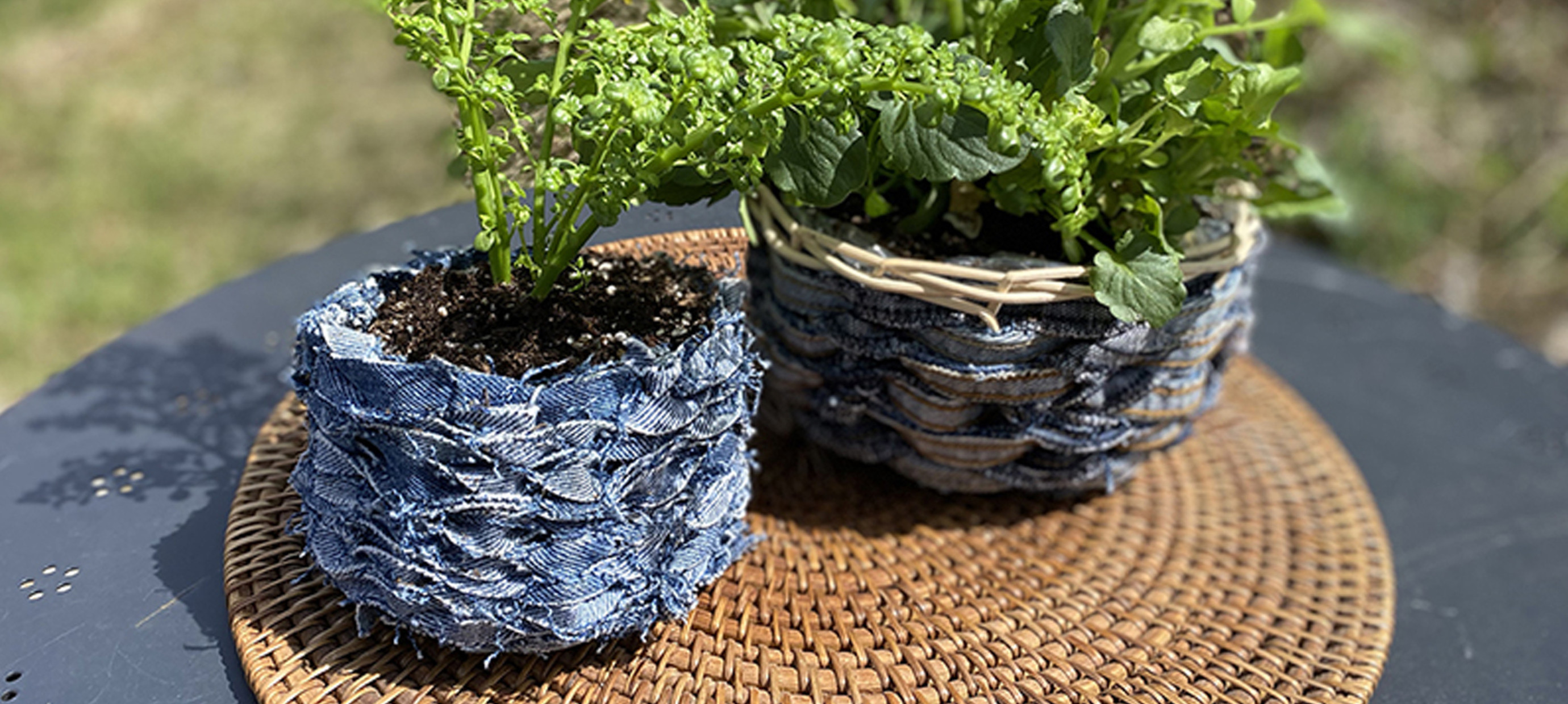 Upcycled Gardening Ideas