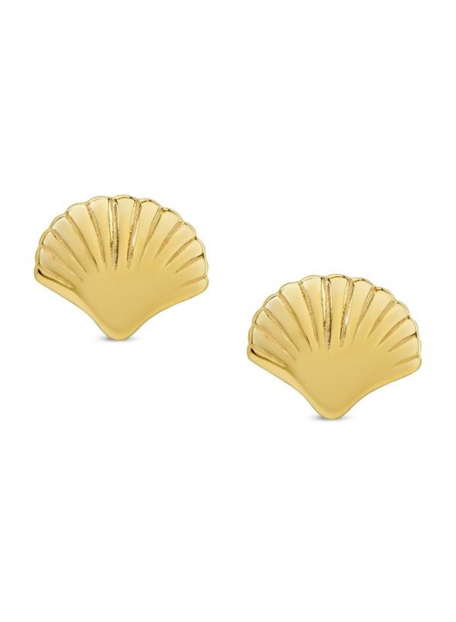 Sea Shell Stud Earrings 18k over Sterling Silver