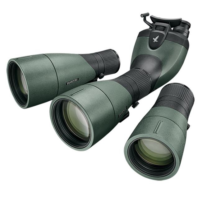 Swarovski Swarovski BTX Eyepiece Module