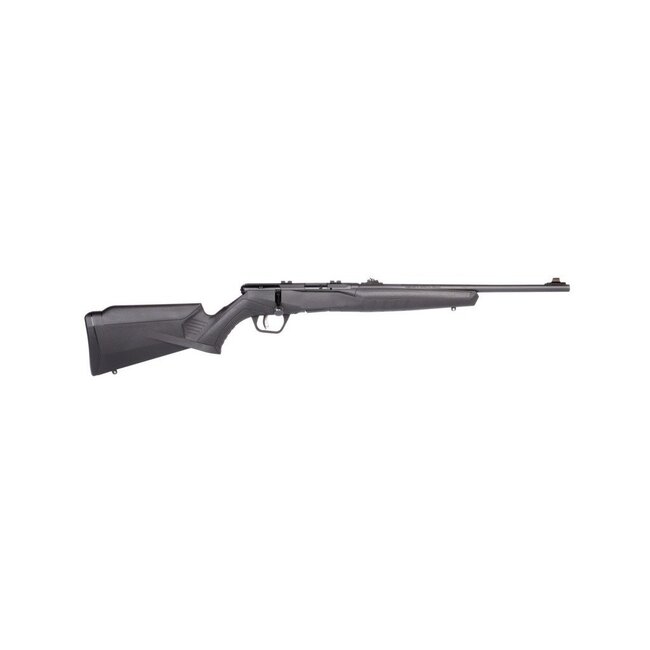 Savage Savage B22 F 22 WMR