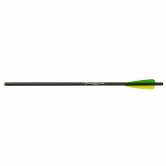 Excalibur Excalibur 22CAV Firebolt 20'' Carbon Arrows each