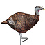 Primos Primos 69070 Photoform Leading Hen Turkey Decoy