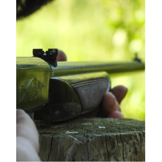 Browning Browning SA-22 Grade 1 Semi Auto Rifle 22 LR