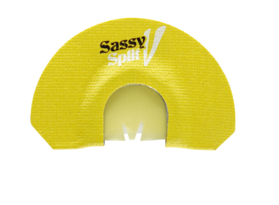 Phelps Turkey V-Cut 'Sassy Split V', Yellow