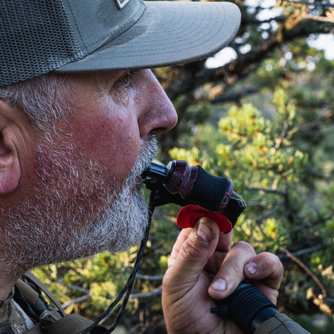 Phelps Phelps Elk Call External Mini X DD Red