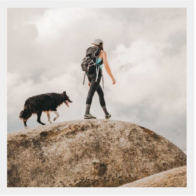 Darn Tough Darn Tough 1907 Women's HIKE/TREK - Boot Sock, Slate