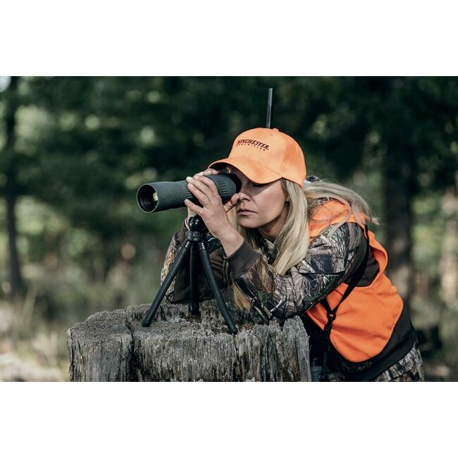 Swarovski Swarovski STC 17-40x56 Spotting Scope Green