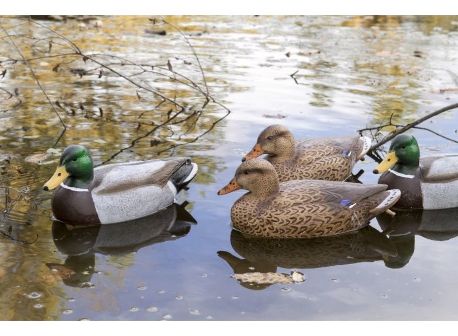 Flambeau Storm Front 2 Classic Mallard Duck Decoys 6pk