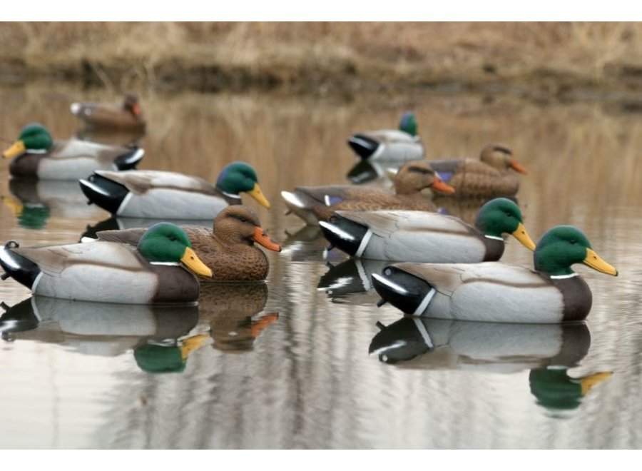 Flambeau Storm Front 2 Classic Mallard Duck Decoys 6pk