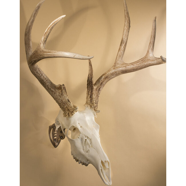 Skull Hooker Skull Hooker Mini Hooker Black