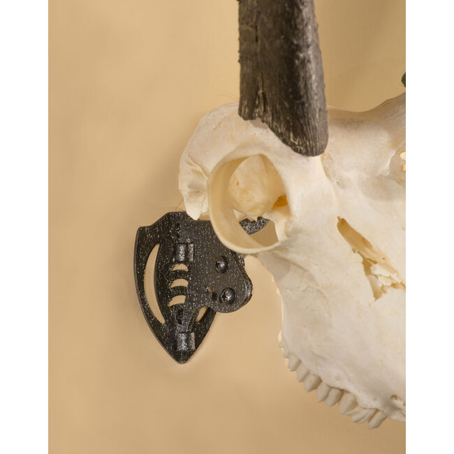 Skull Hooker Skull Hooker Mini Hooker Black