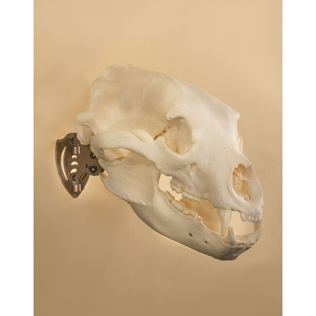 Skull Hooker Skull Hooker Mini Hooker Black