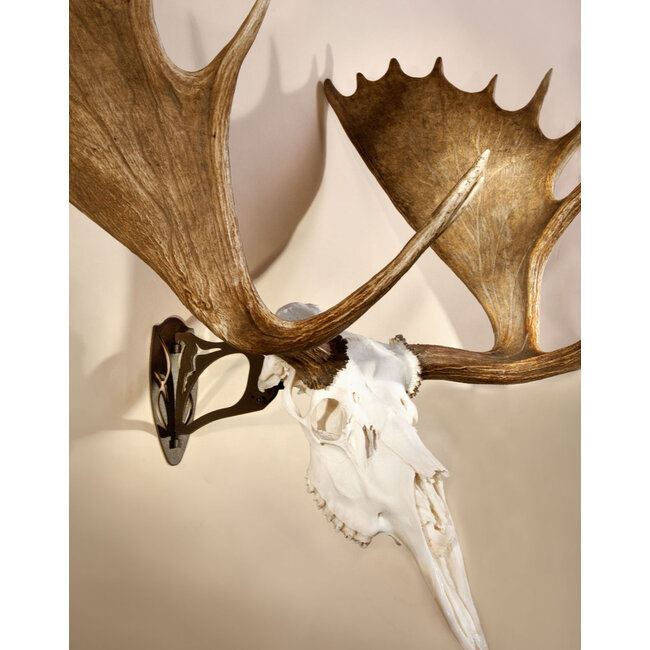 Skull Hooker Skull Hooker Big Hooker Black