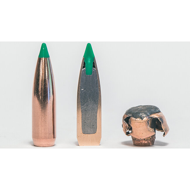 Nosler Nosler Ballistic Tip Bullets