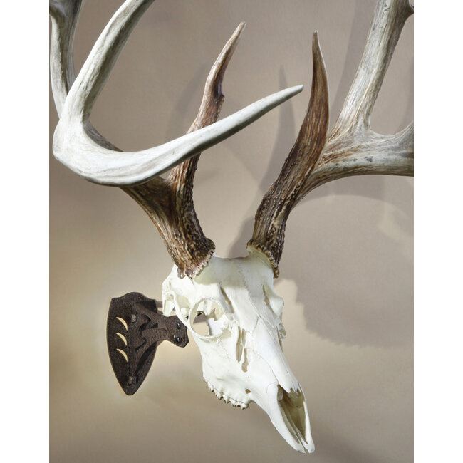 Skull Hooker Little Hooker Black