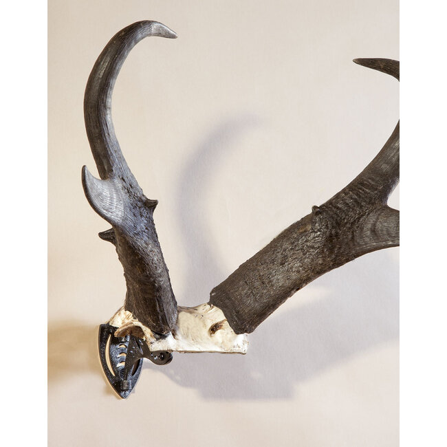 BONE BRACKET / SMALL/MEDIUM GAME / BLACK TEXTURED