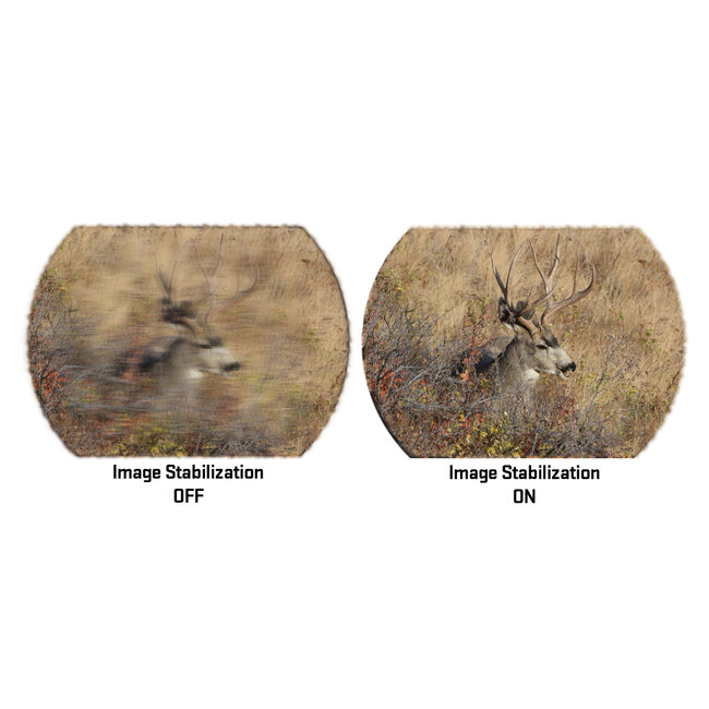 Sig Sauer Zulu6 HDX Pro 16x50 Image Stabilized Binocular